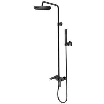 Exposed Brass Matte Black Rain Shower System