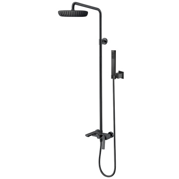 Exposed Brass Matte Black Rain Shower System