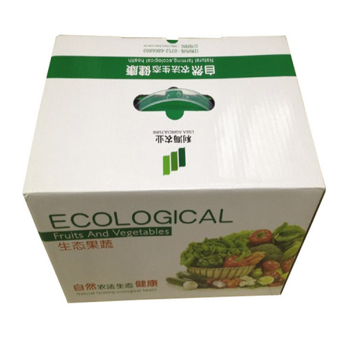 Eco-friendly Corrugated Cardboard Boxes for Packing Fruit