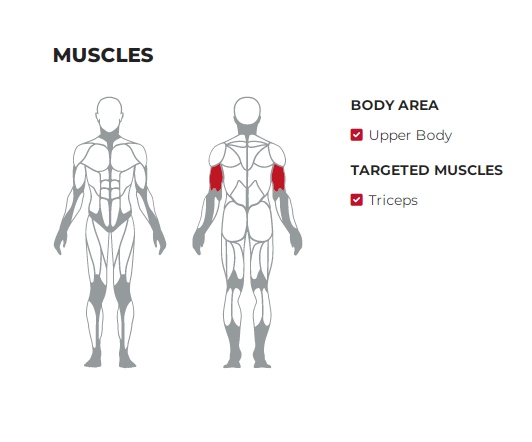 Triceps Bench Plate Loaded