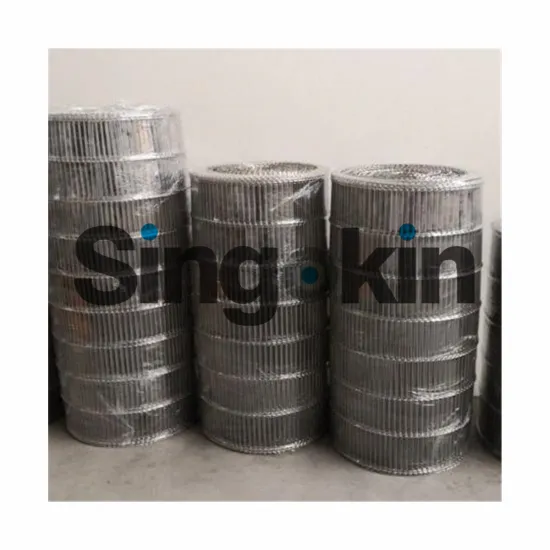 Stainless Steel Conveyor Belt Mesh 2mm Wire Diameter with 10mm Edge