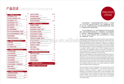 Electric Wall Mounted Jib Cranes
