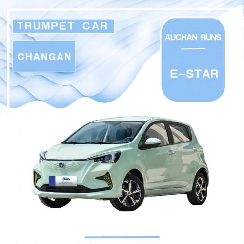 Changan Ourshang Benben E-Star