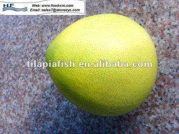 pomelo, Chinese pomelo for sale