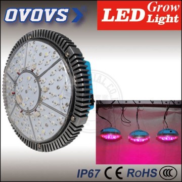 OVOVS 3 watt super bright 140w grow light for plant indoor using