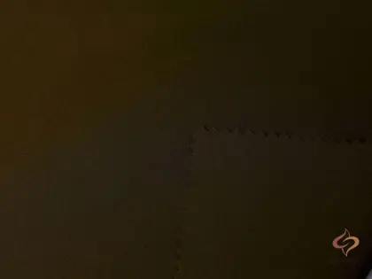 75D 100%Polyester Polyester Pongee