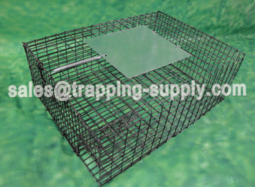 LB-39 Galvanized sparrow Cage Trap