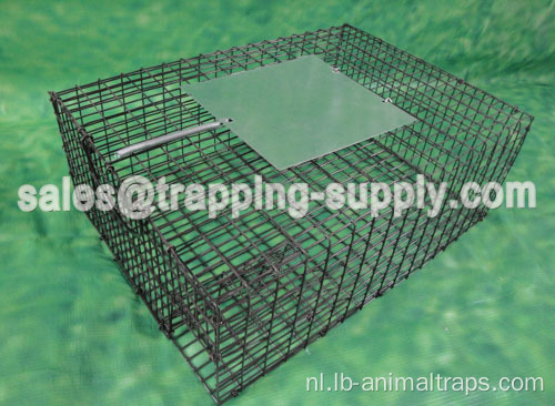 LB-39 Gegalvaniseerde Sparrow Cage Trap