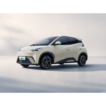 Nova energija čista električna byd brtva