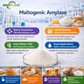 Bread Enhancement with Maltogenic Powder