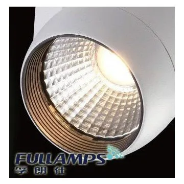 Fullamps 220~240V AC light track Lighting,LED Track Light,track lamp