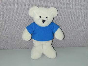teddy bear