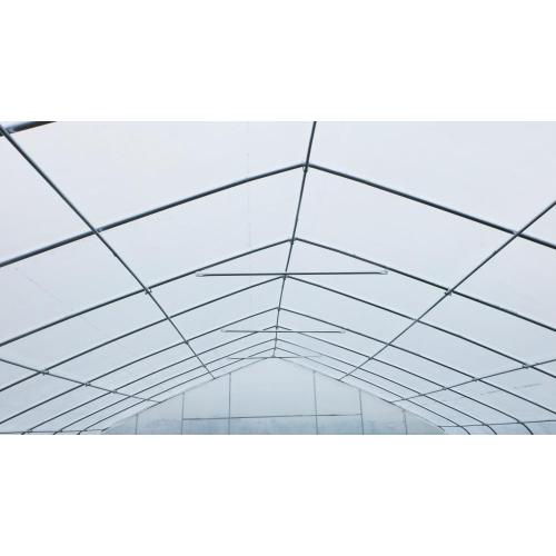 Industrial Greenhouse High quality steel structure