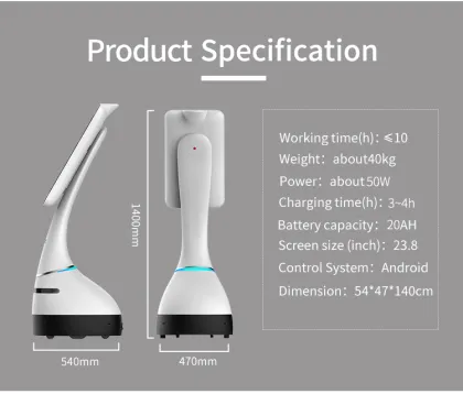 Digital Virtual Character and Service Robot for Exhibition Halls