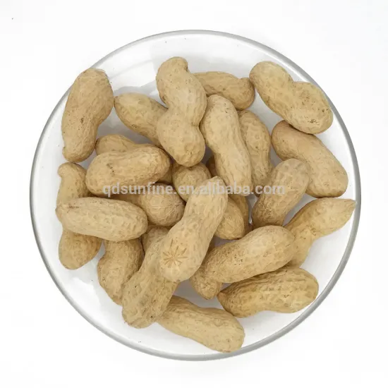 Roasted and salted peanut