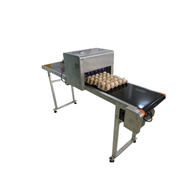 Long-Time Working Egg Stamp Batch Code Inkjet Printer Machines
