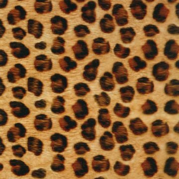 Water Transfer Printing Hydro Graphics Film--Spotted leopard pattern Width 100cm GW12740