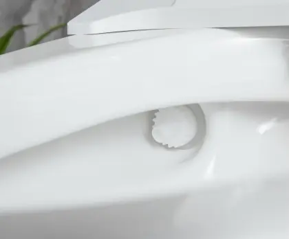 Bathroom Intelligent Toilet Electric Automatic Toilet