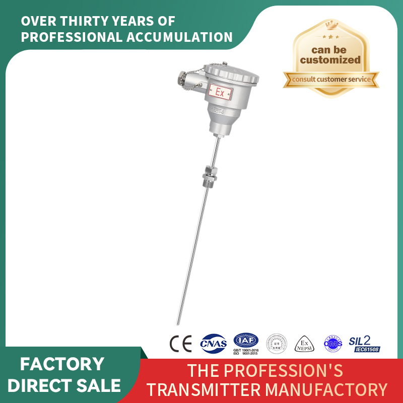 Senzori RTD/termocuplu blindați ignifugați