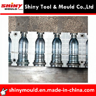 Packaging Pet Bottle Mould Molds