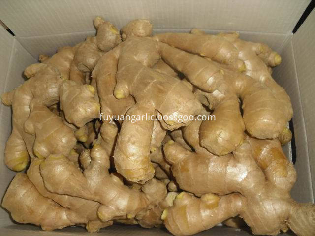 air dried ginger 