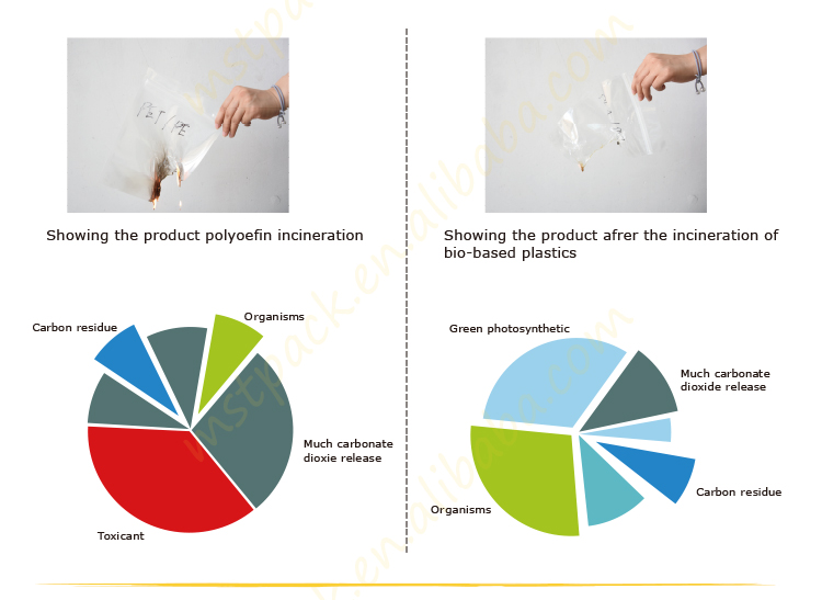 COMPOSTABLE-FOOD-BAG_07