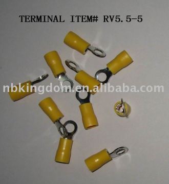 # RV5.5-5 Terminal &amp; Stecker