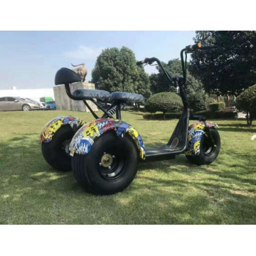 Three Wheel Off Road Electric Scooter for Adult