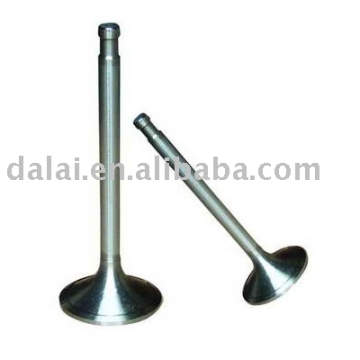 TATRA Intake/exhaust valve