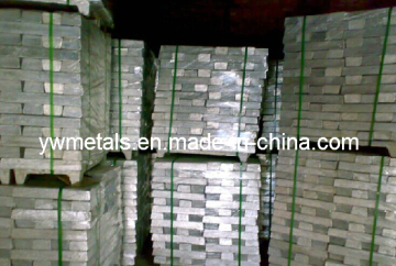 High Purity 99.99% Magnesium (Mg) Ingot with Competitive Price