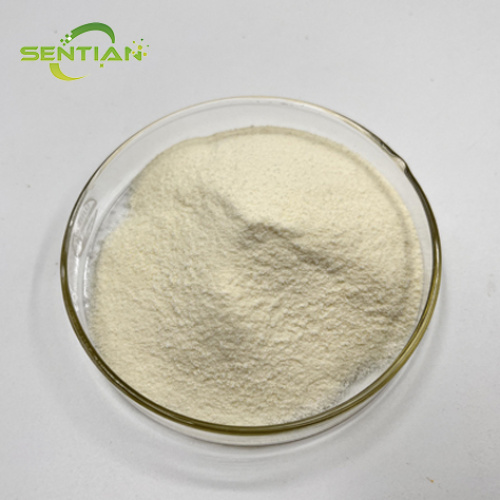 Premium Plant Extract Luteolin