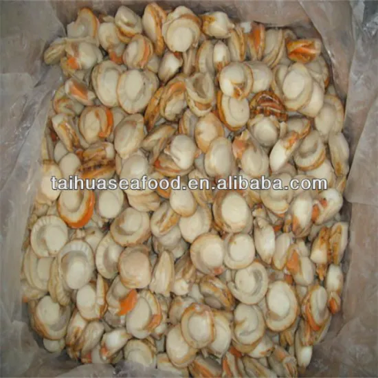 IQF frozen cooked scallops adductor(roe on)