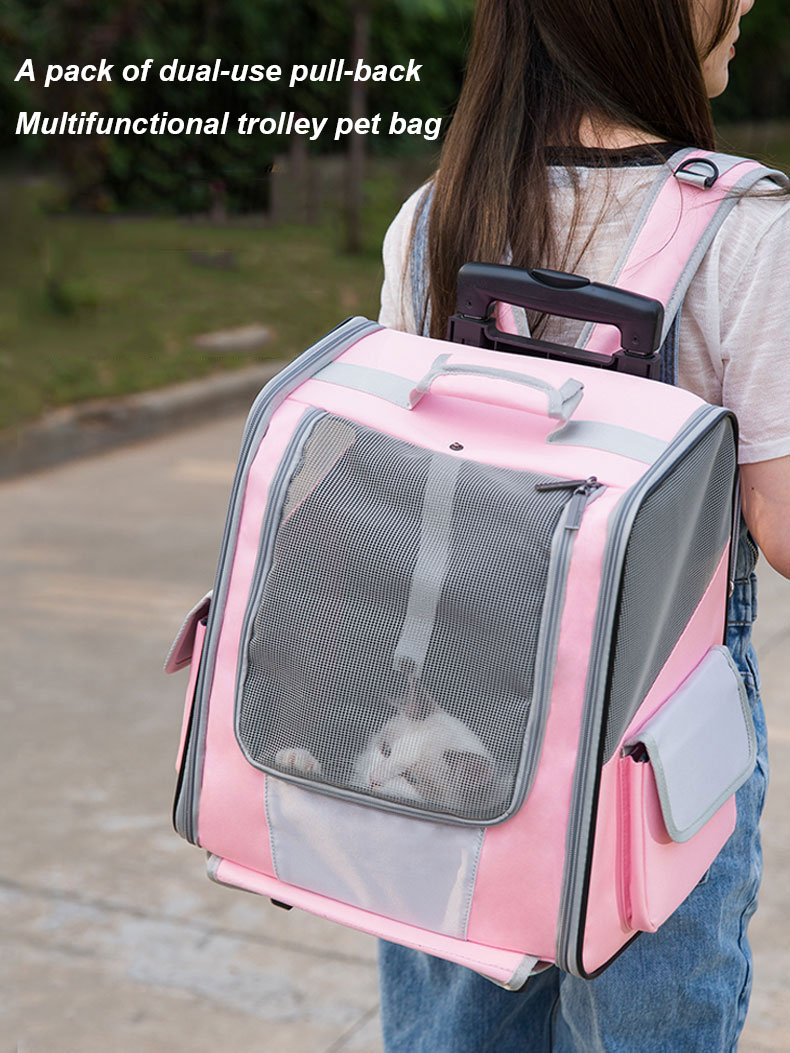 Pet Travel Carrier