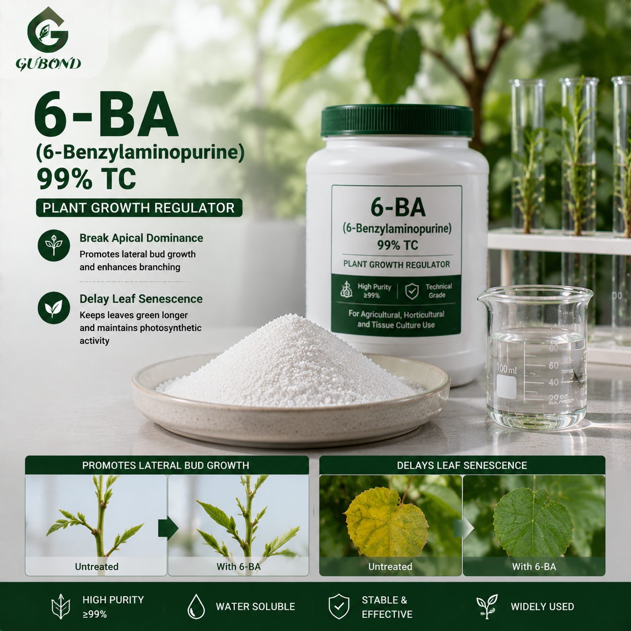 6-BA 6-Benzylaminopurine (2)