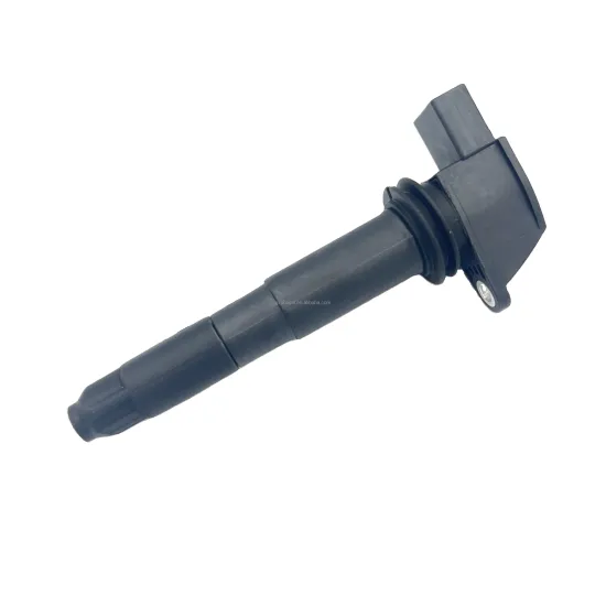 High Quality Car Ignition Coil 94860210421 for Porsche