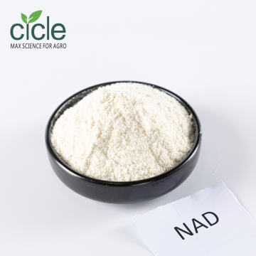 1-Naphthylacetamide NAD Key Auxin Derivative in Biochemistry