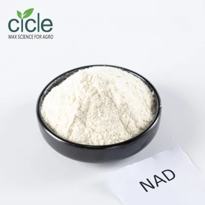 1-Naphthylacetamide NAD Key Auxin Derivative in Biochemistry