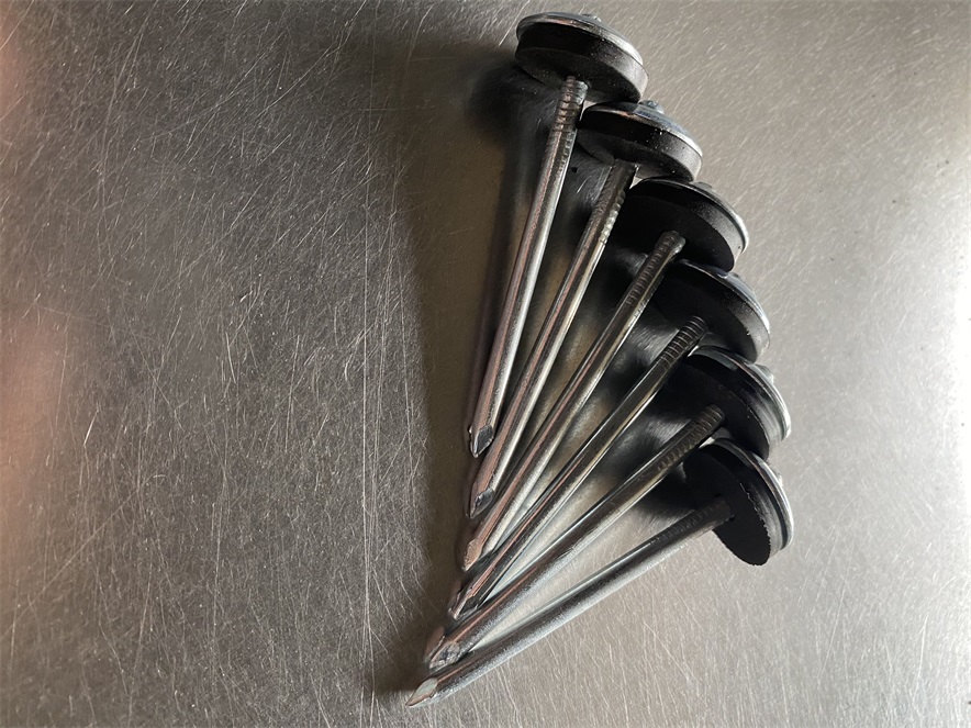 Polished Shank Roofing Nails