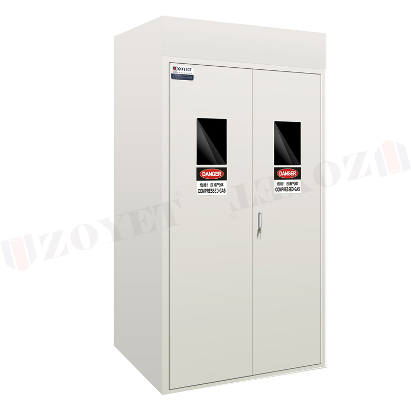 Gas Cylinder Cabinet 3