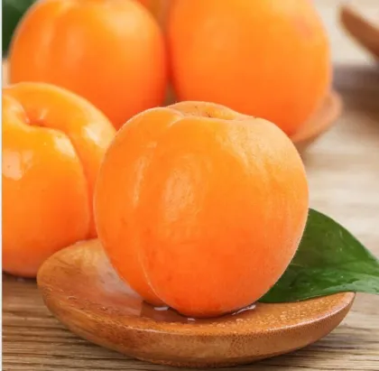 Fresh apricot Organic Fresh apricot