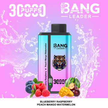 Bang 30K Disposable Vape Dual Flavors Wholesale Netherlands