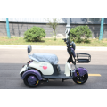البالغ 3 عجلة الكهرباء trike
