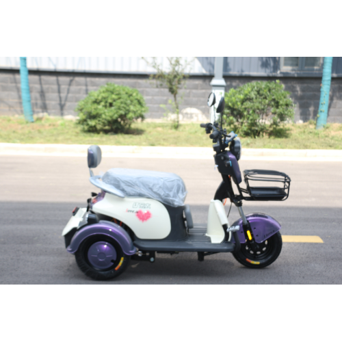 Adult 3 wheel electric trike