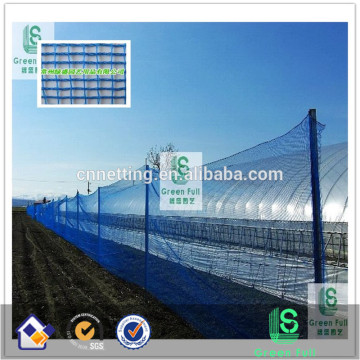 Rede de proteção contra vento azul ou verde