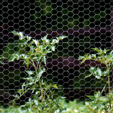 Clôture en treillis métallique hexagonal de cage de poulet pour le bétail