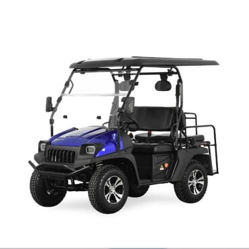5KW RED Electric UTV Rear Seat with EEC
