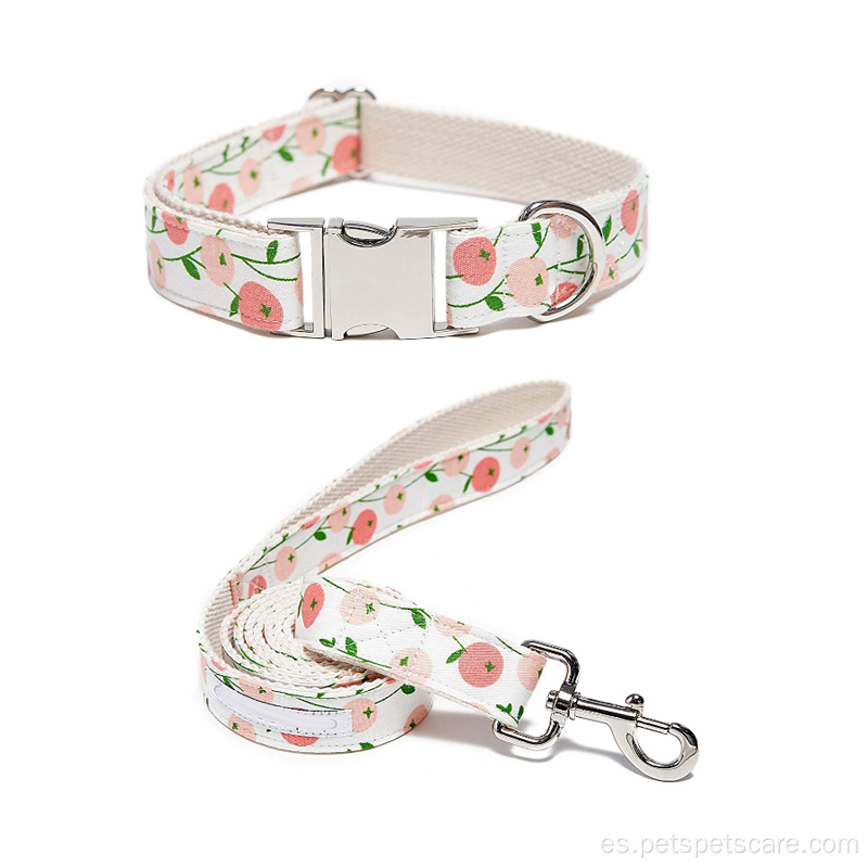 Design Nylon Dog Collar and Leash Set Al por mayor