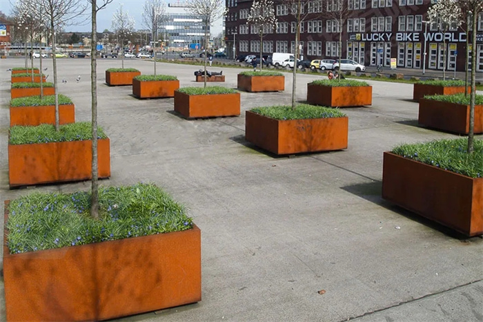 large plant pots for trees