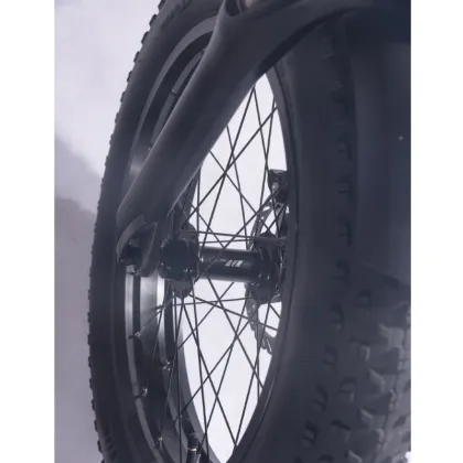 20 Inch folding fat tire folding electric bicycle