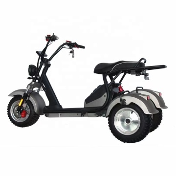 US/EUウェアハウス：3ホイール電気トリサイクル - オフロードタイヤ